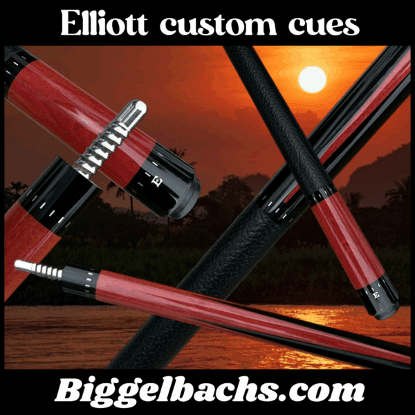 Elliott (Black Points) Pool Cue | Biggelbachs